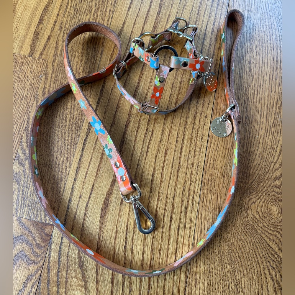 Nice Digs leather step in dog harness and leash XS Xsmall